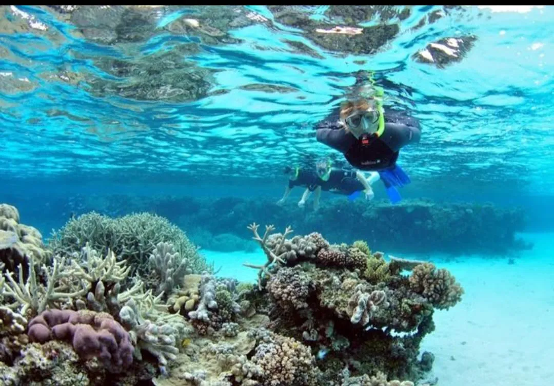Mahmya island 🏝️🏖️ trip El Gouna Mahmya island /IMG-20260701-WA0175.jpg